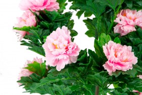 Искусственные растения Пион розовый MK-7411-HP Темно-зеленый в Олёкминске - olyokminsk.katalogmebeli.com | фото 2