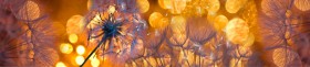 Кухонный фартук Мерцание Одуванчики золотистые 3 серебро в Олёкминске - olyokminsk.katalogmebeli.com | фото